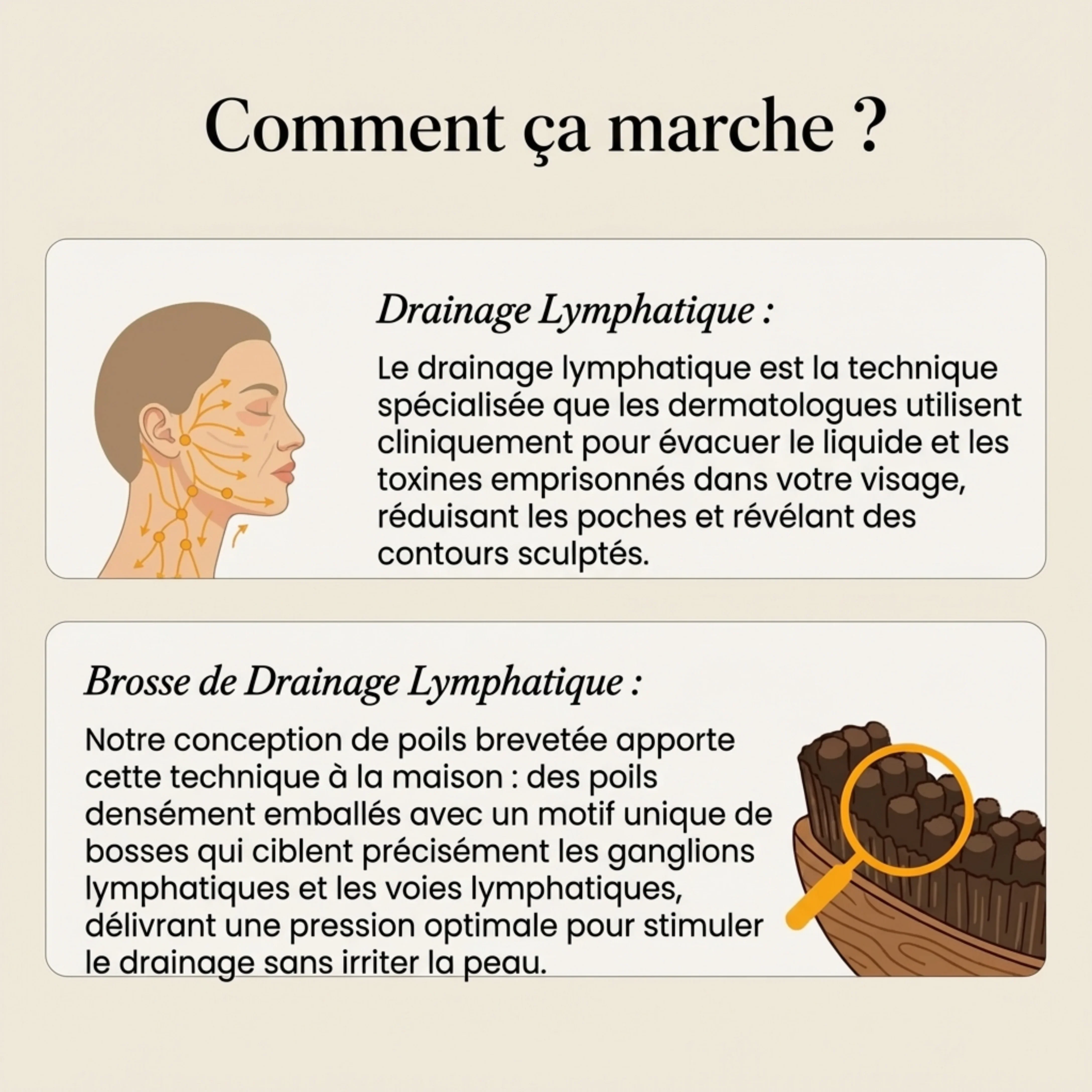 Brosse de modelage du visage - Image 7