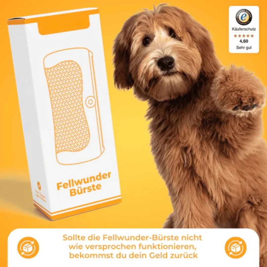 Brosse de toilettage pour chien - Image 8