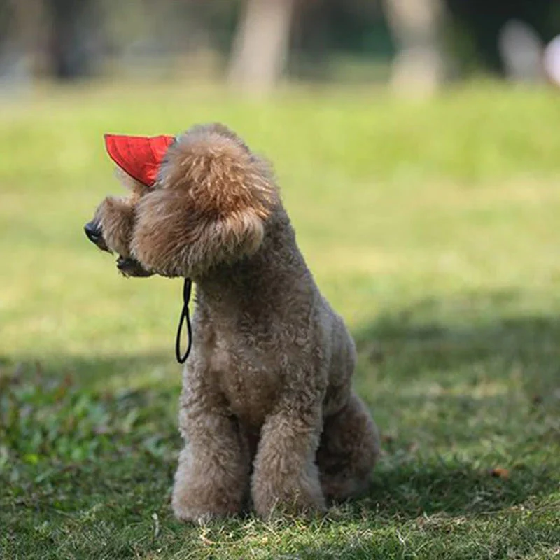 Casquette pour chien - Image 6
