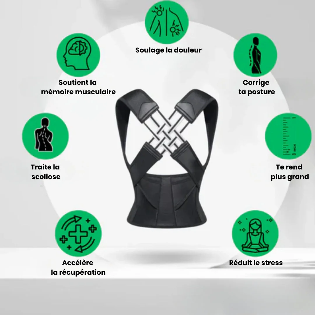 Ceinture de soutien dorsal - Image 2