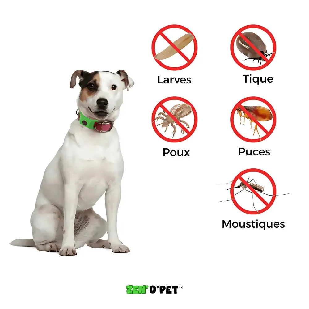 Collier antiparasitaire pour chiens contre les puces et les tiques - Image 5