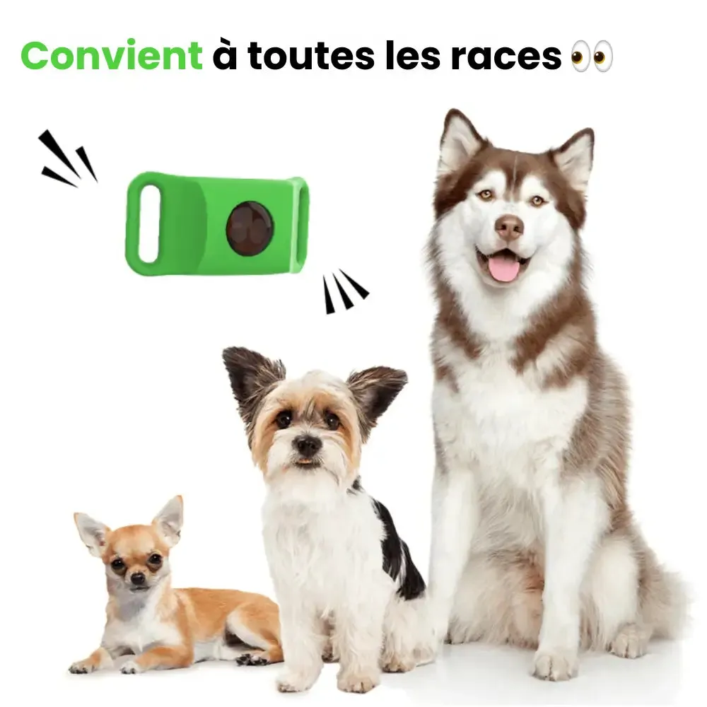 Collier antiparasitaire pour chiens contre les puces et les tiques - Image 6