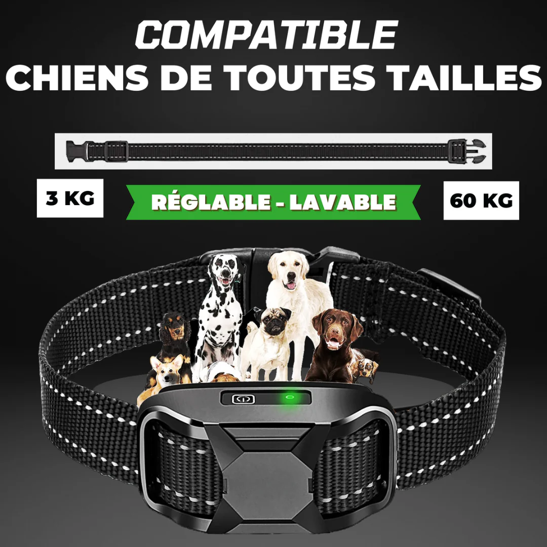 Collier de dressage longue portée pour chien - Image 3