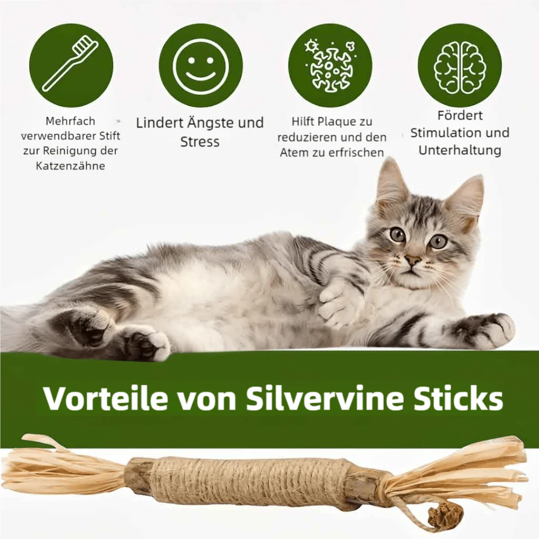 Cure-dents naturels en silvervine pour chat - Image 11