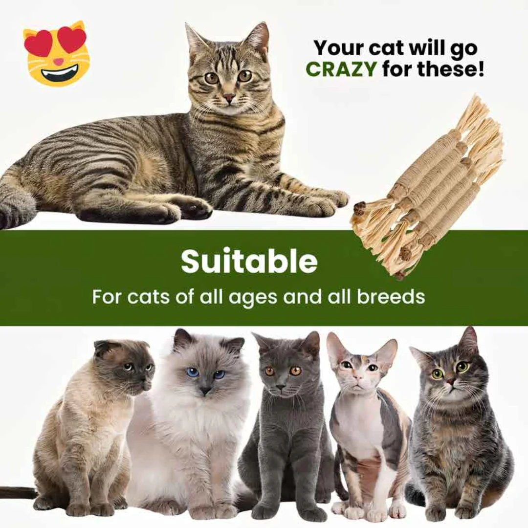 Cure-dents naturels en silvervine pour chat - Image 13