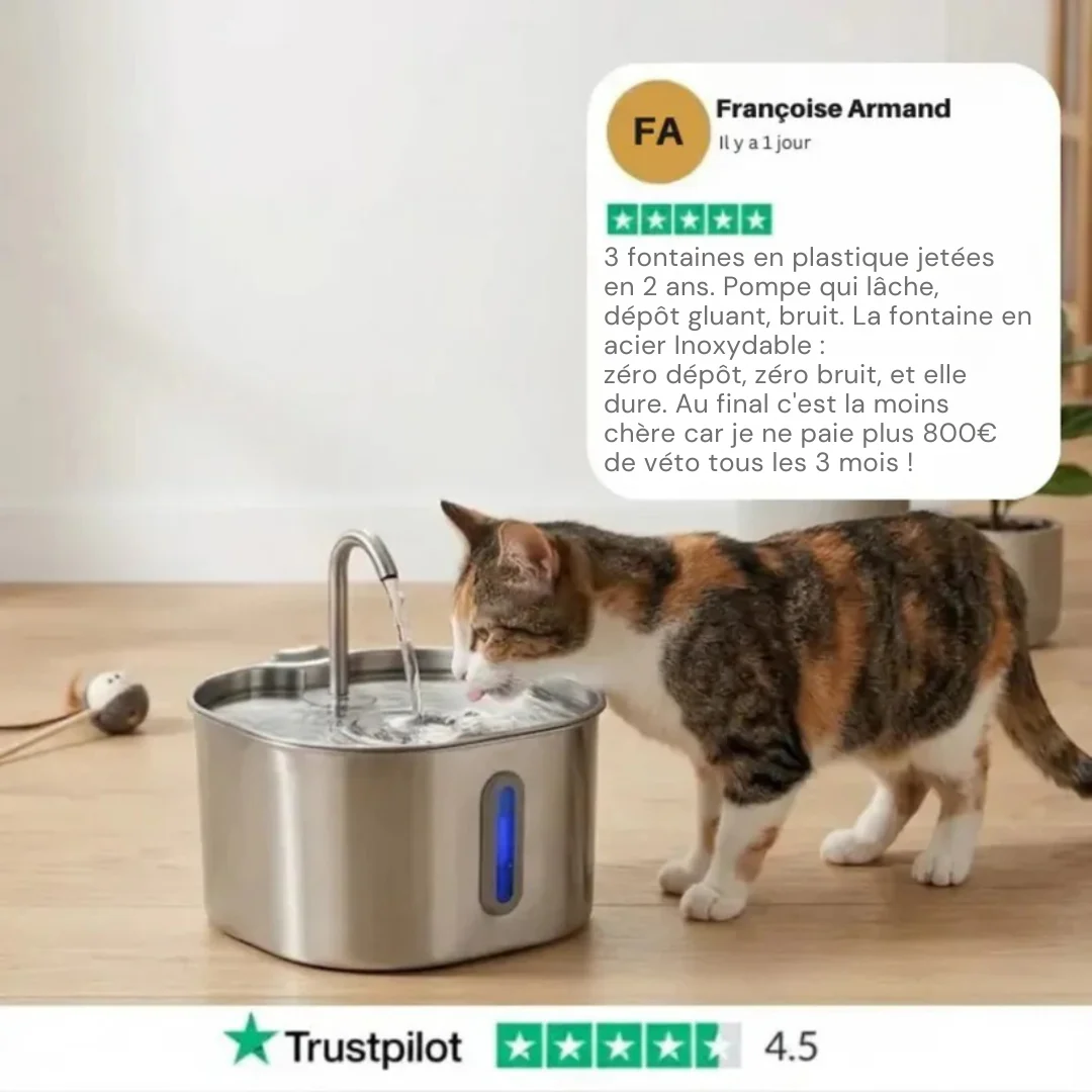 Fontaine à Eau pour Chat en Acier Inoxydable - Image 2
