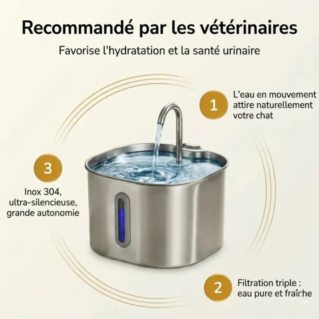 Fontaine à Eau pour Chat en Acier Inoxydable - Image 3