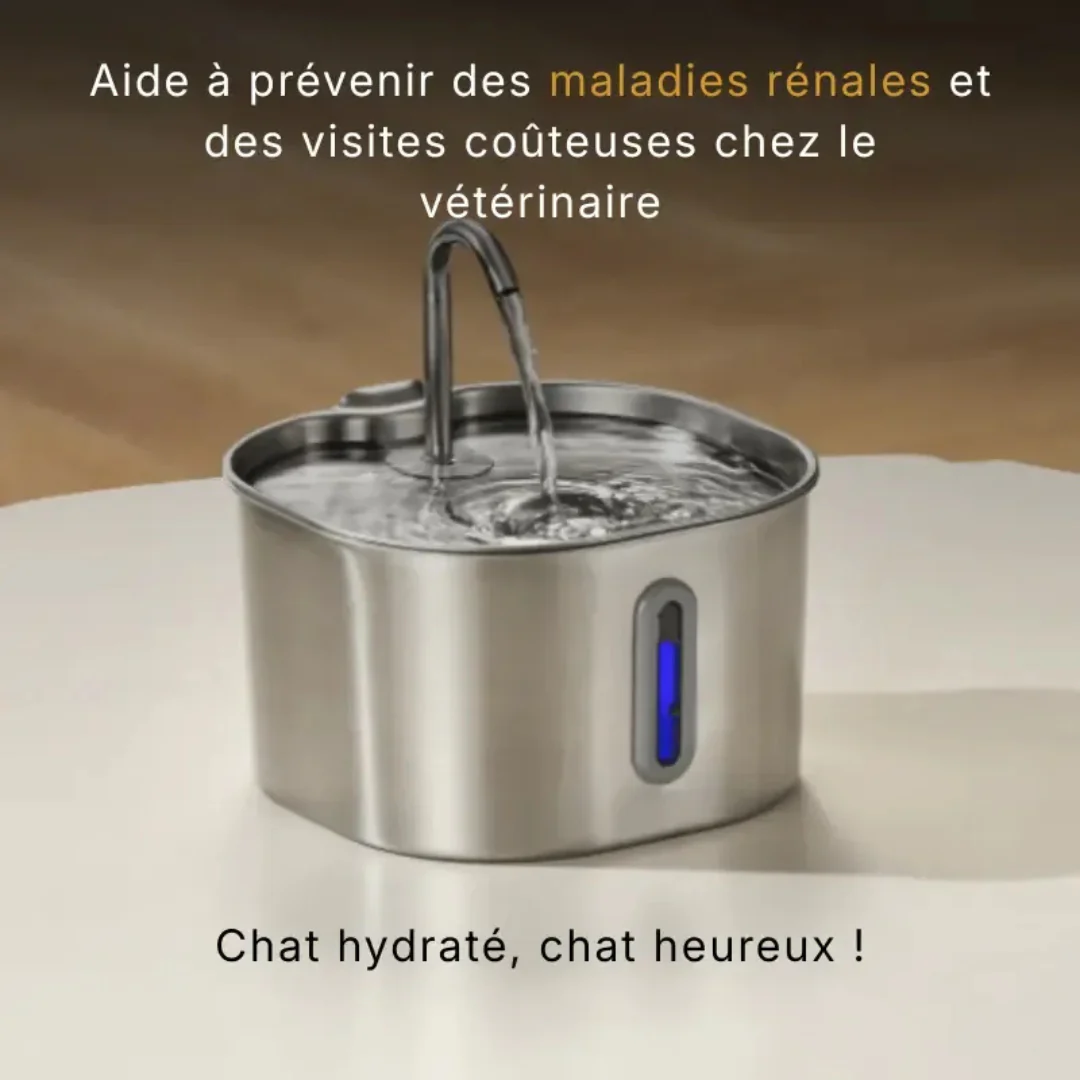 Fontaine à Eau pour Chat en Acier Inoxydable - Image 8