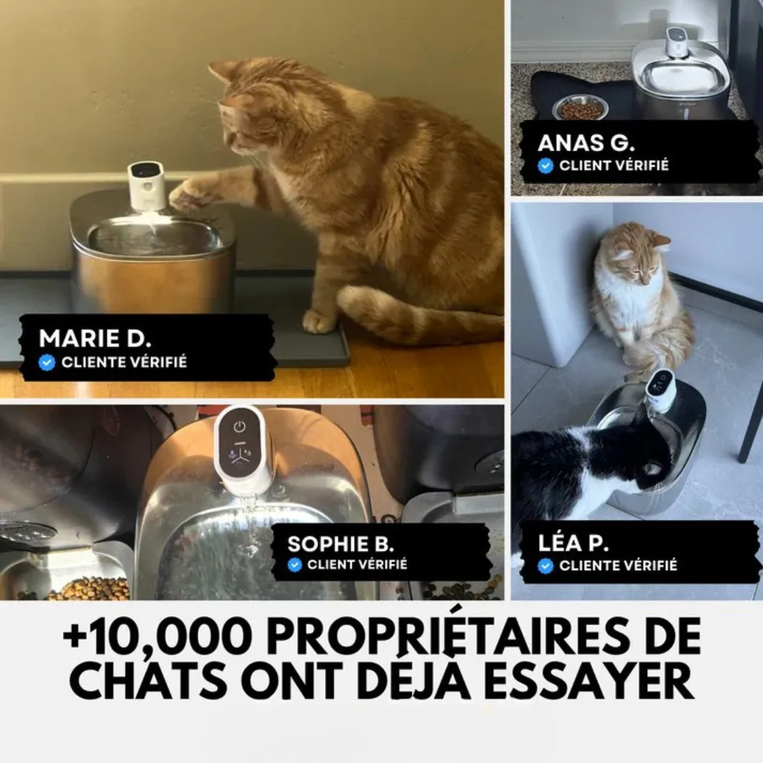Fontaine à eau pour chats en inox - Image 8