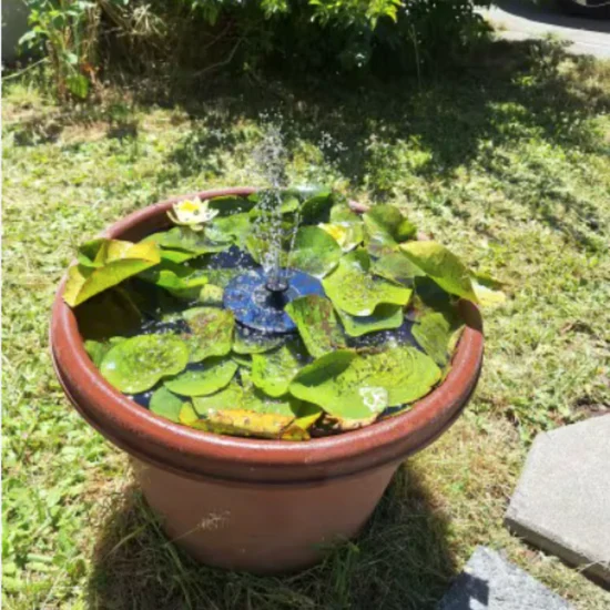 Fontaine solaire pour balcon, jardin & terrasse - Image 13