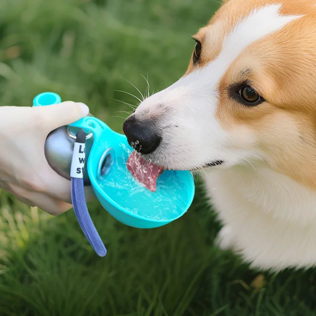 Gourde pour chien 2 en 1 avec bol intégré - Image 2