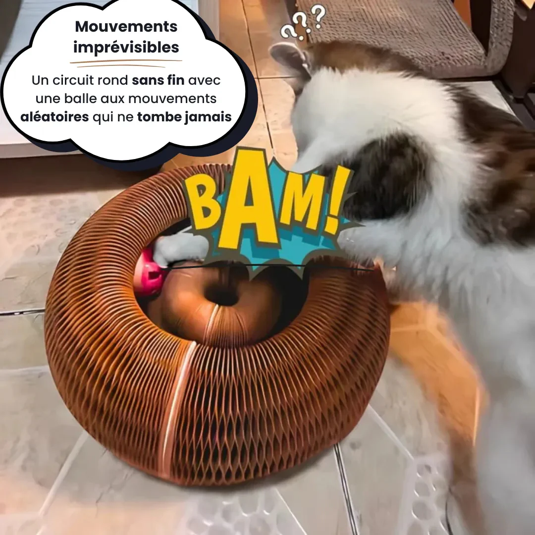 Griffoir interactif pour chat - Image 4