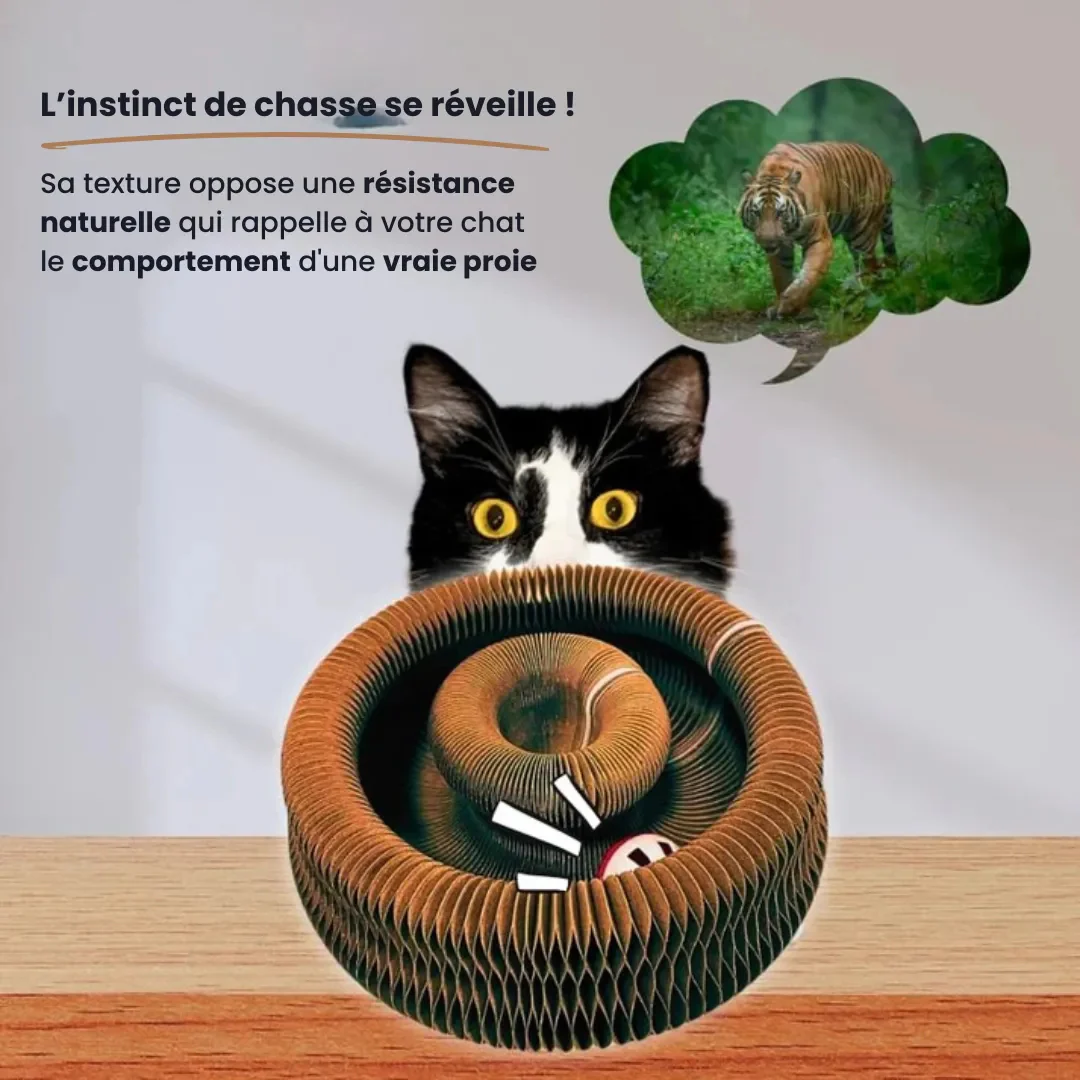 Griffoir interactif pour chat - Image 6