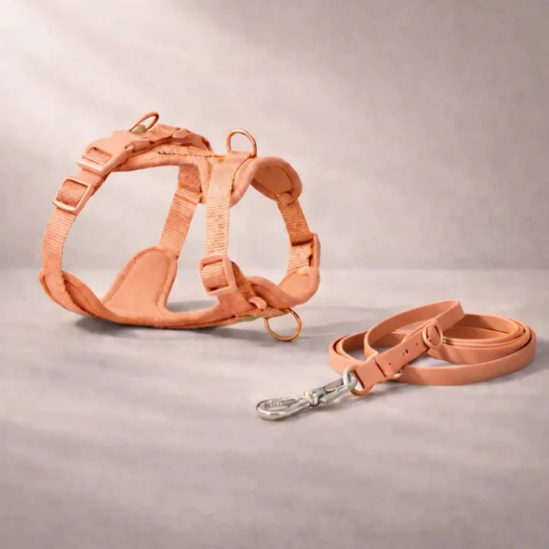 Harnais anti-traction avec laisse pour chien - Image 11