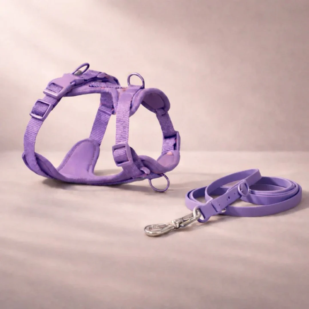 Harnais anti-traction avec laisse pour chien - Image 13