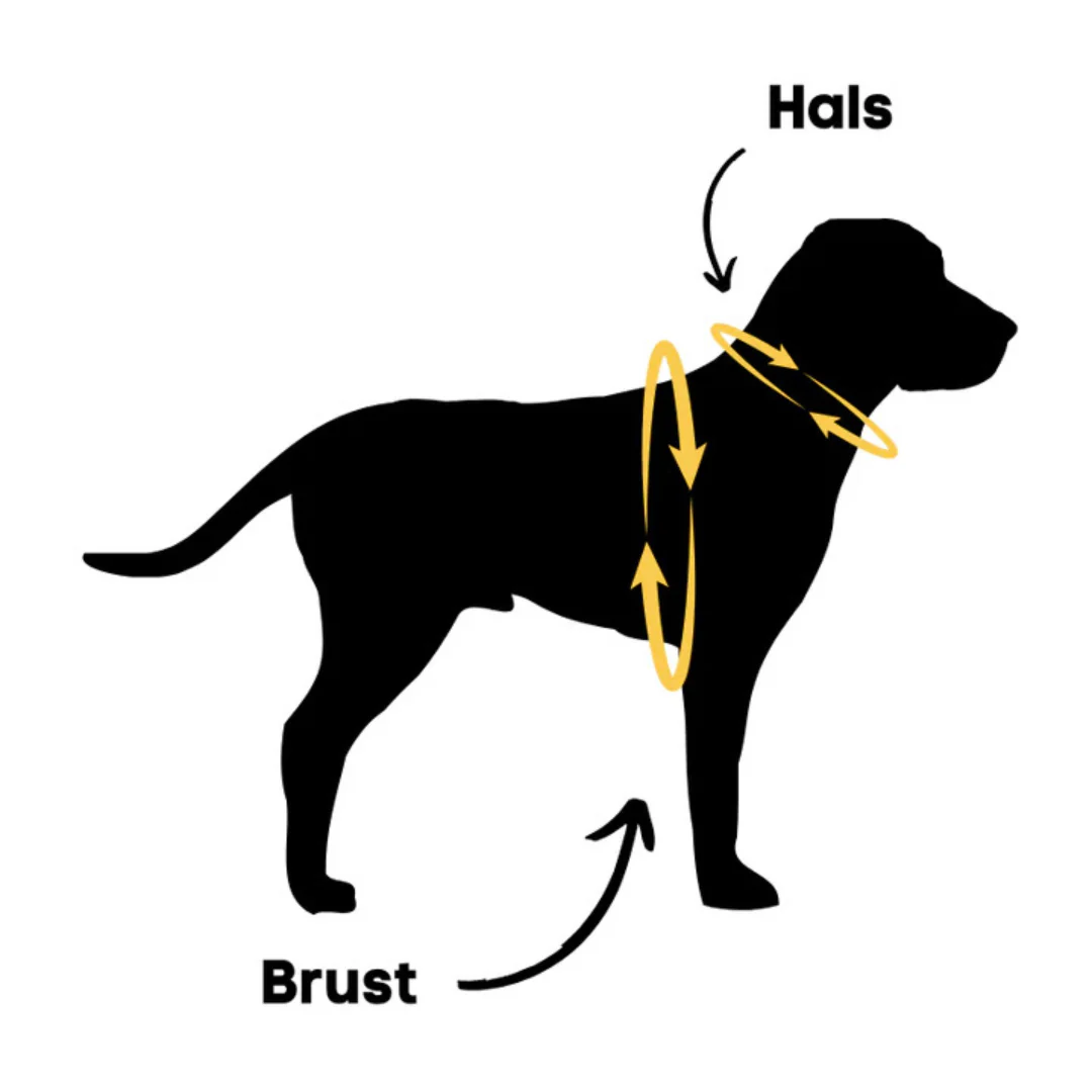 Harnais anti-traction avec laisse pour chien - Image 18