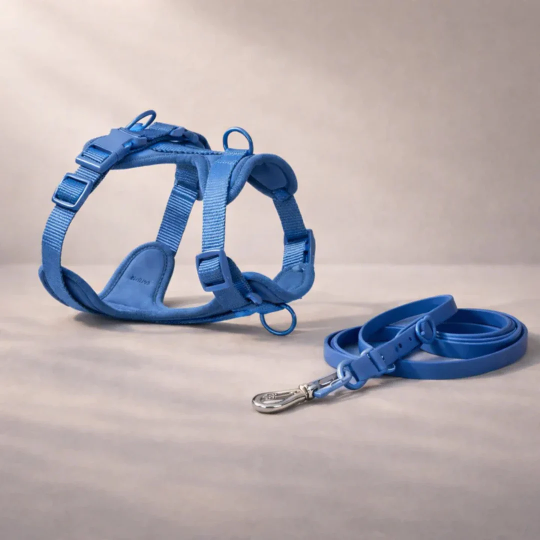 Harnais anti-traction avec laisse pour chien - Image 6
