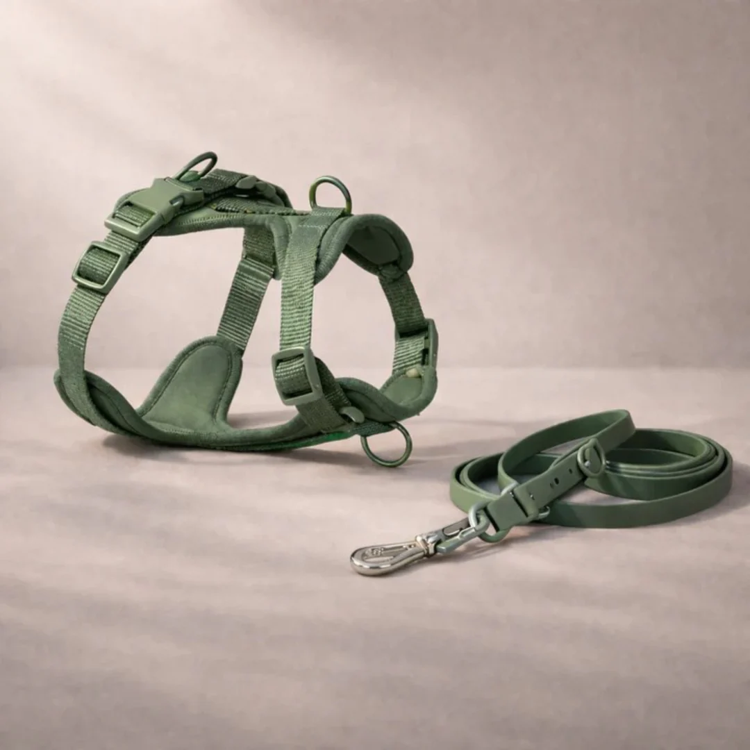 Harnais anti-traction avec laisse pour chien - Image 7