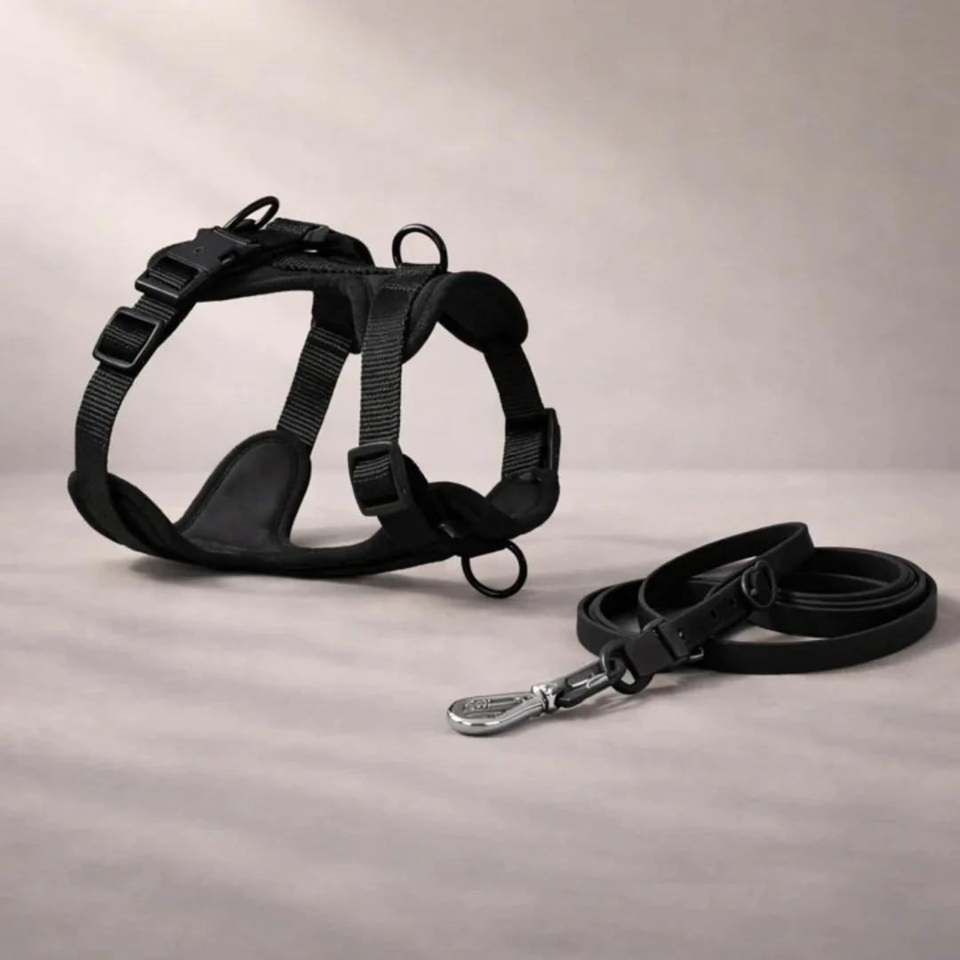 Harnais anti-traction avec laisse pour chien - Image 8