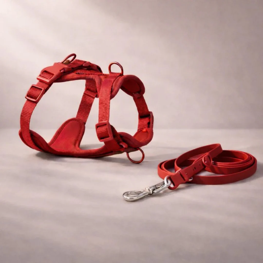 Harnais anti-traction avec laisse pour chien - Image 9