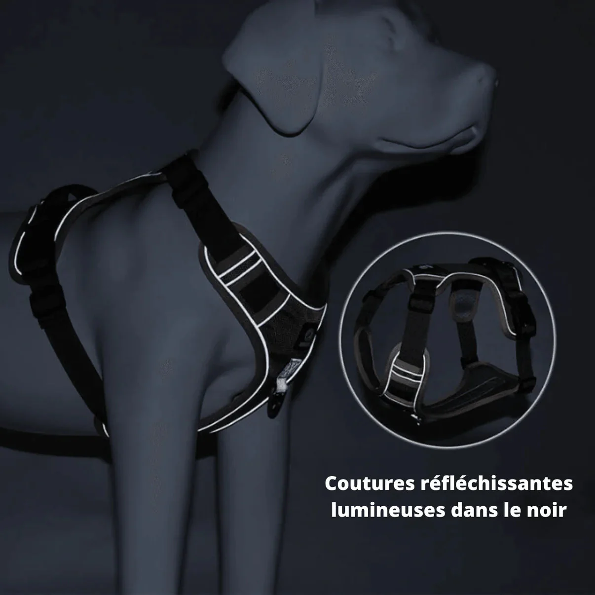 Harnais anti-traction - Image 7