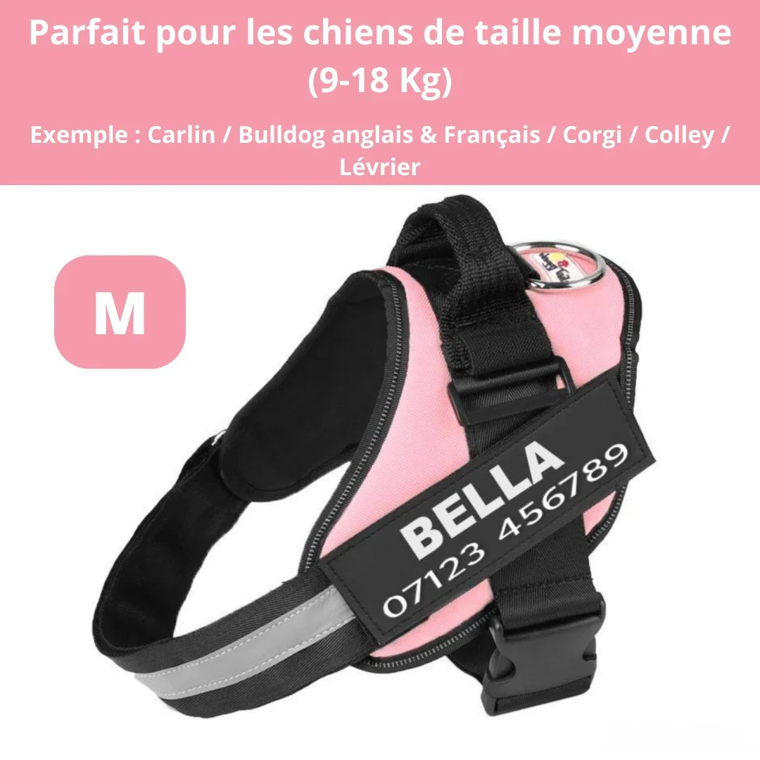 Harnais personnalisable anti-traction pour petit chien - Image 12