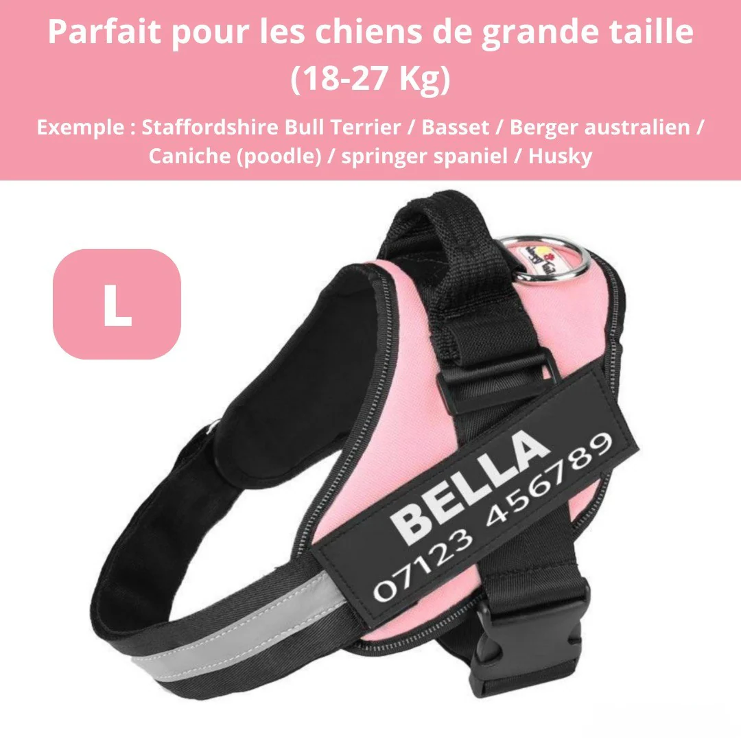 Harnais personnalisable anti-traction pour petit chien - Image 13