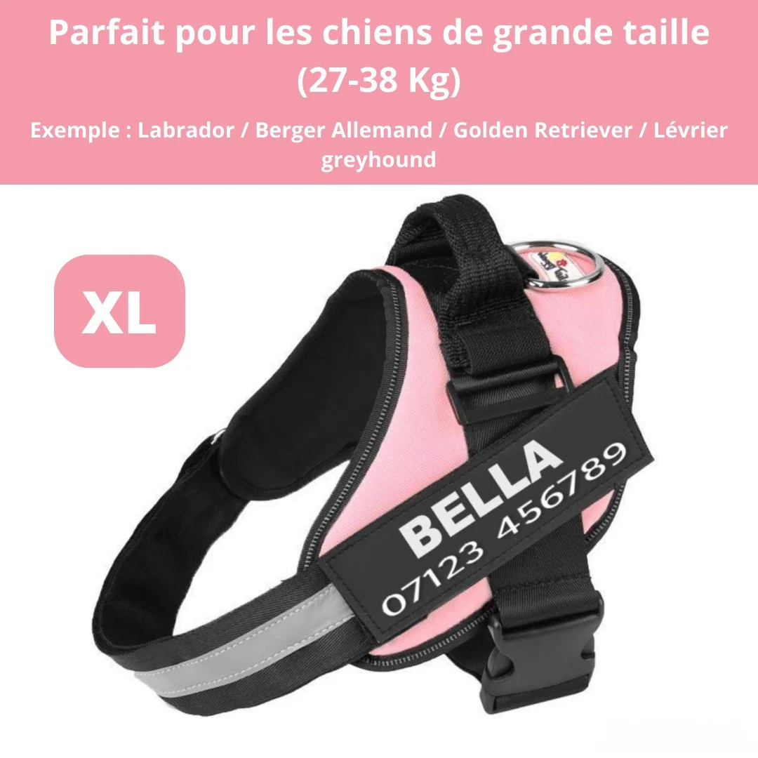 Harnais personnalisable anti-traction pour petit chien - Image 14