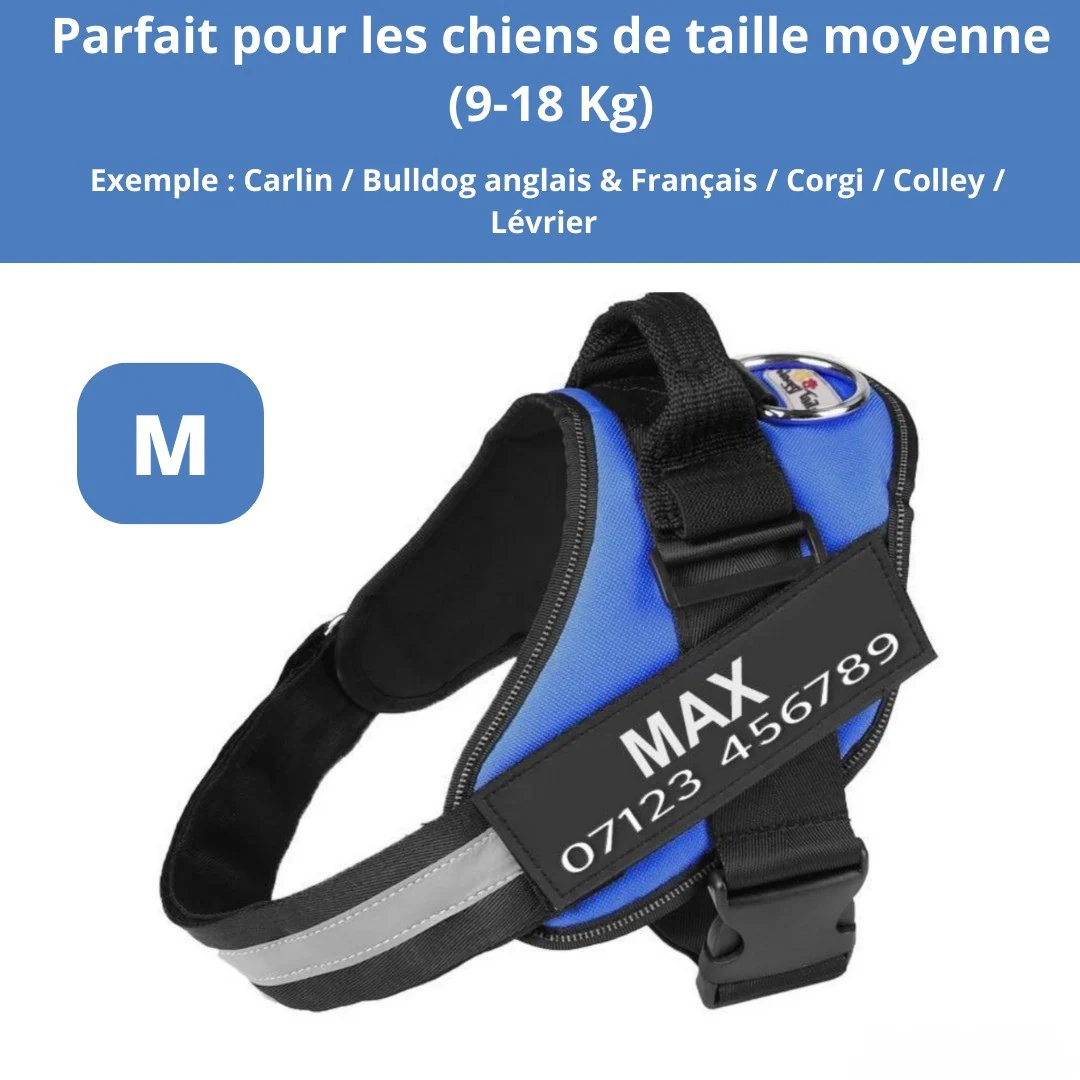 Harnais personnalisable anti-traction pour petit chien - Image 17