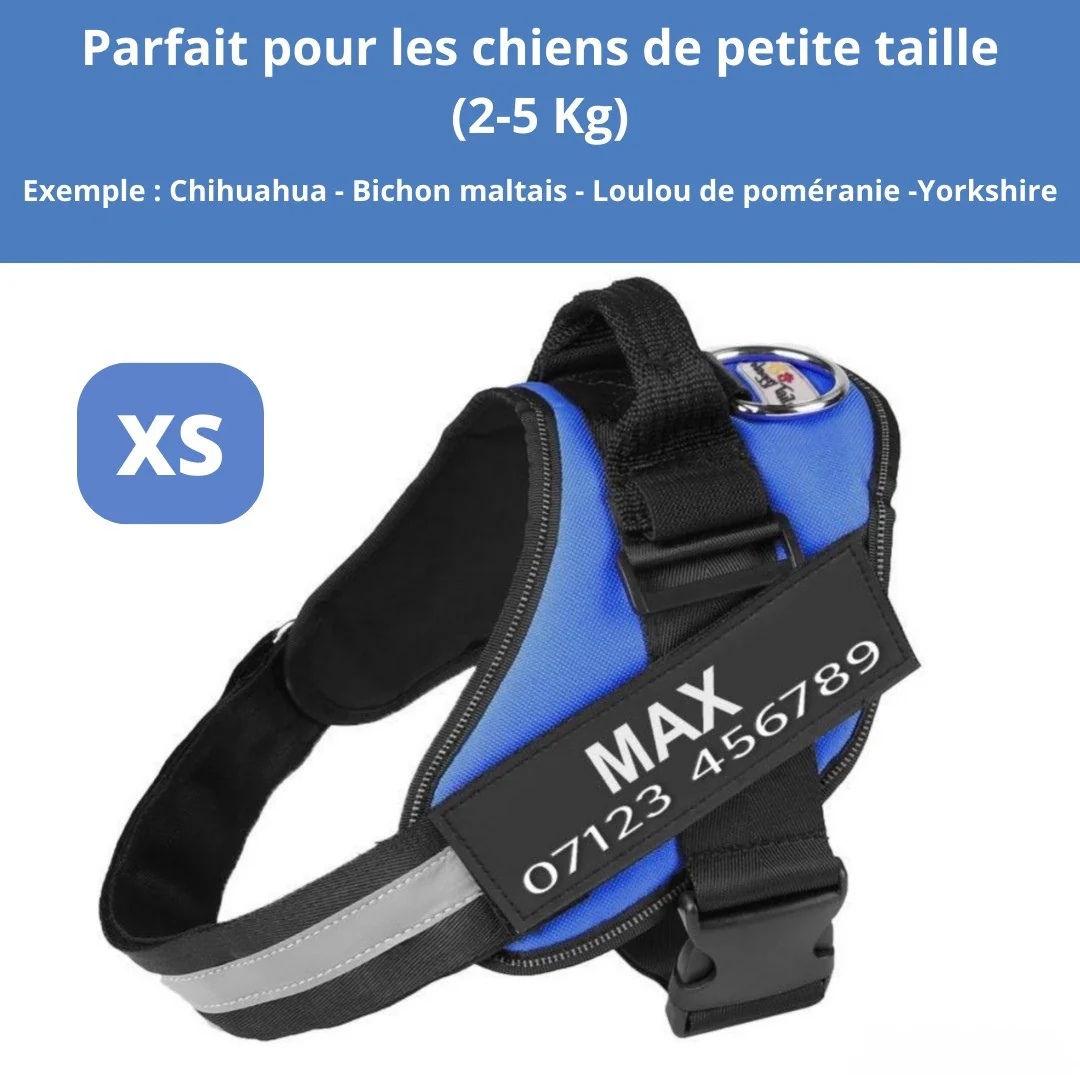 Harnais personnalisable anti-traction pour petit chien - Image 18