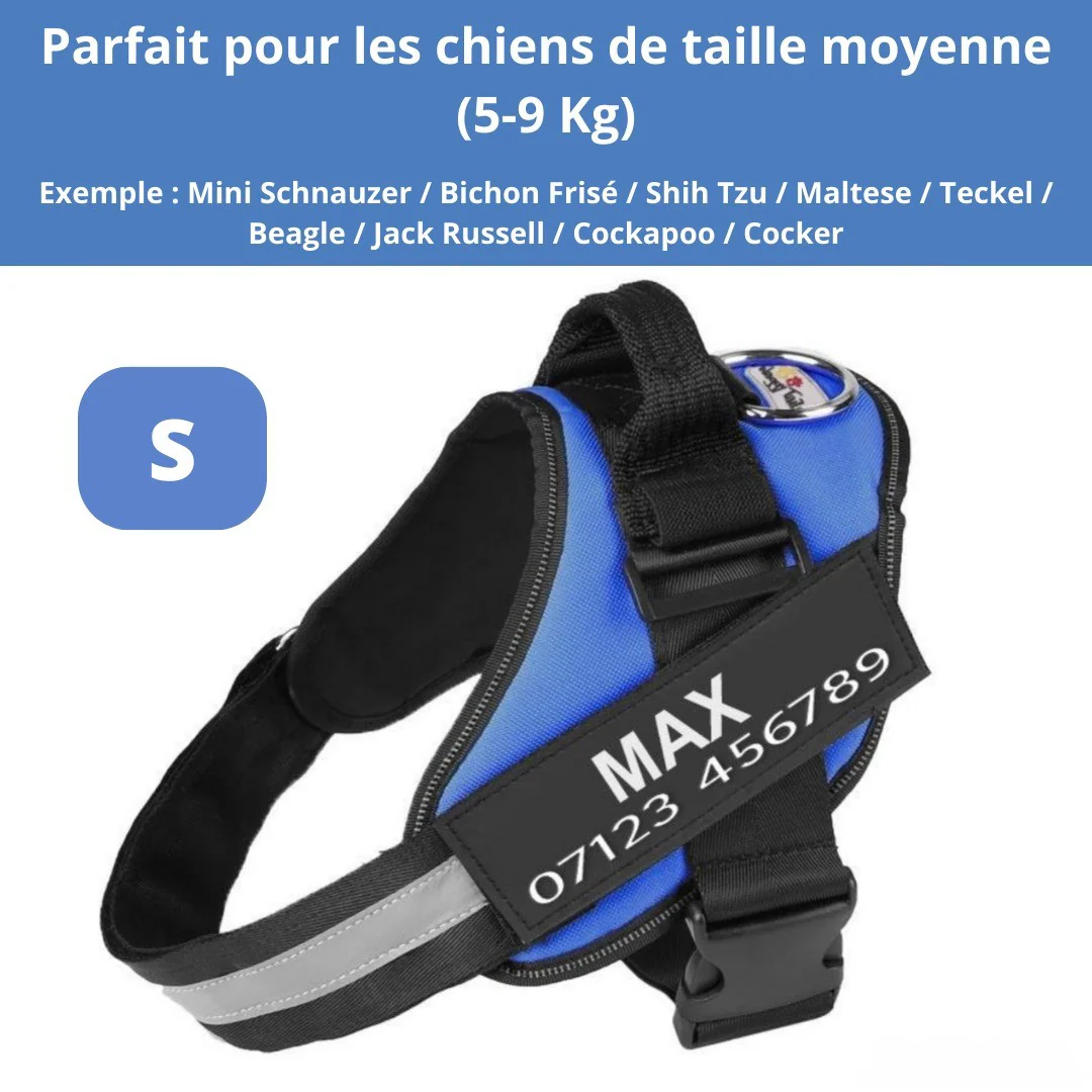 Harnais personnalisable anti-traction pour petit chien - Image 19