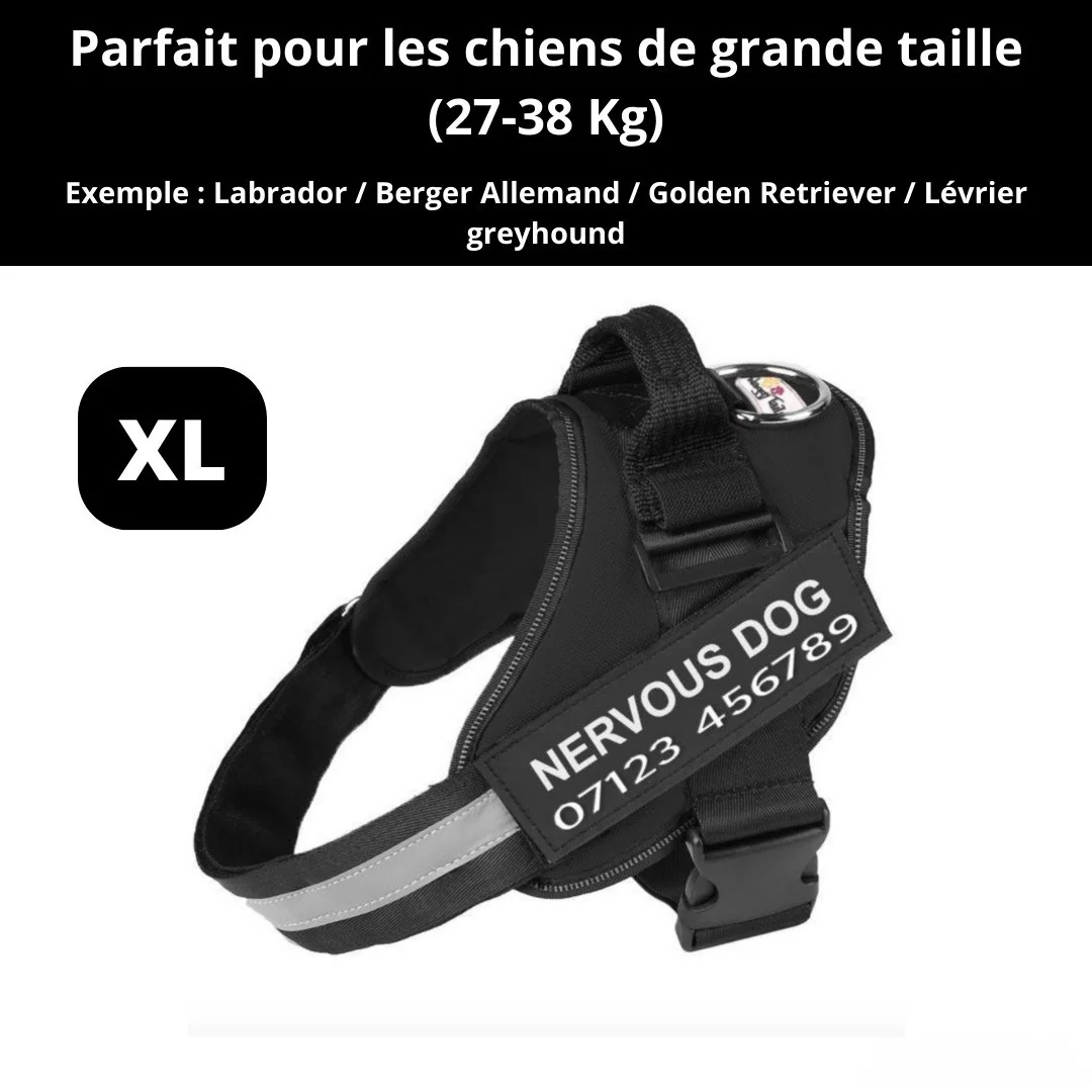 Harnais personnalisable anti-traction pour petit chien - Image 2