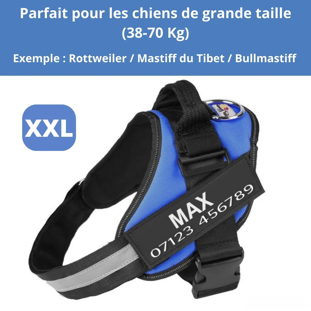 Harnais personnalisable anti-traction pour petit chien - Image 22