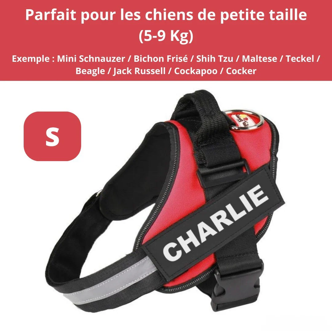 Harnais personnalisable anti-traction pour petit chien - Image 24
