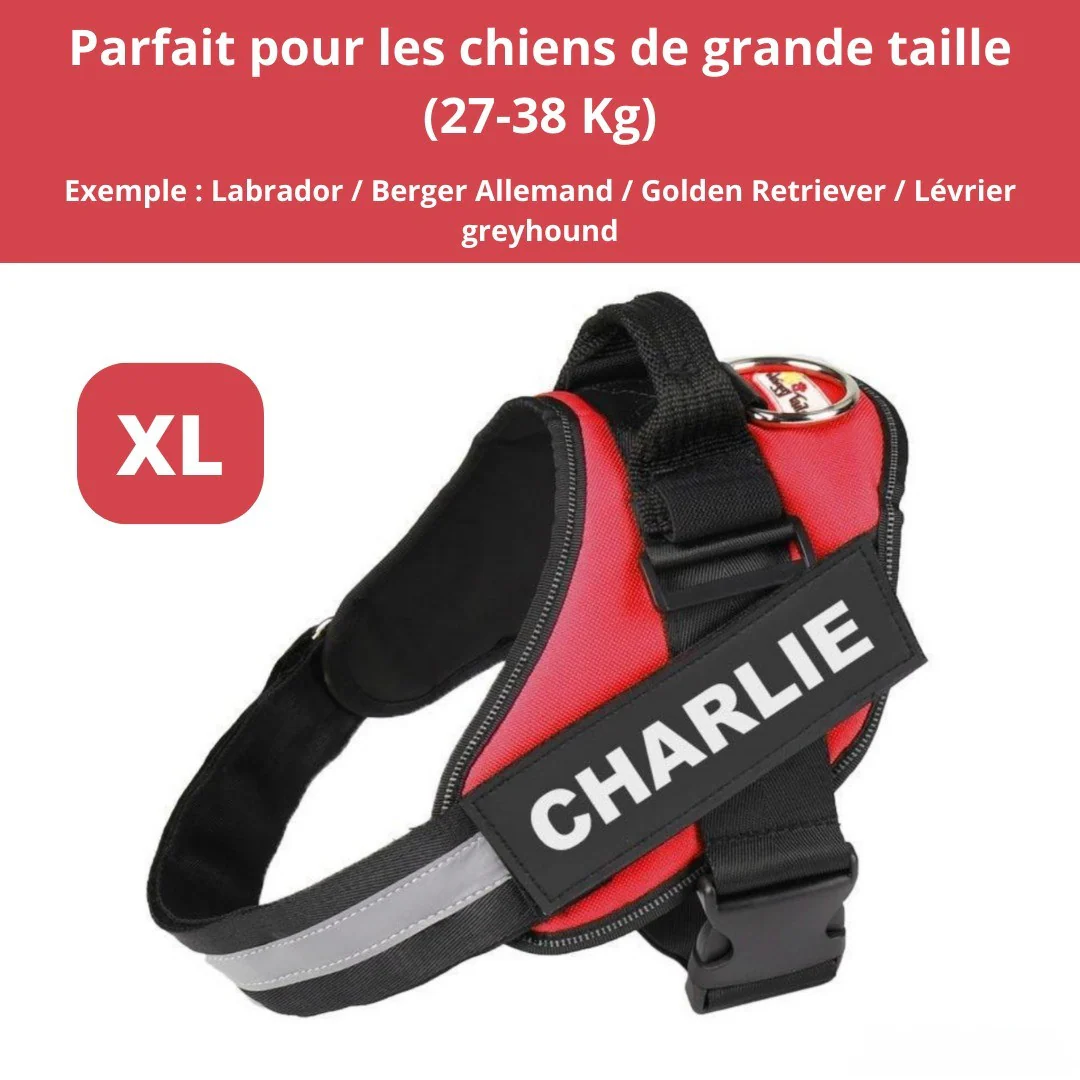 Harnais personnalisable anti-traction pour petit chien - Image 28