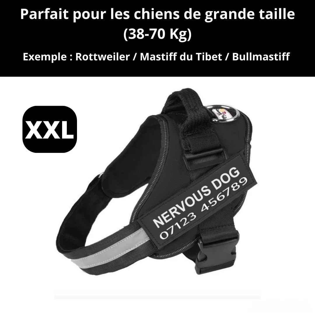 Harnais personnalisable anti-traction pour petit chien - Image 3