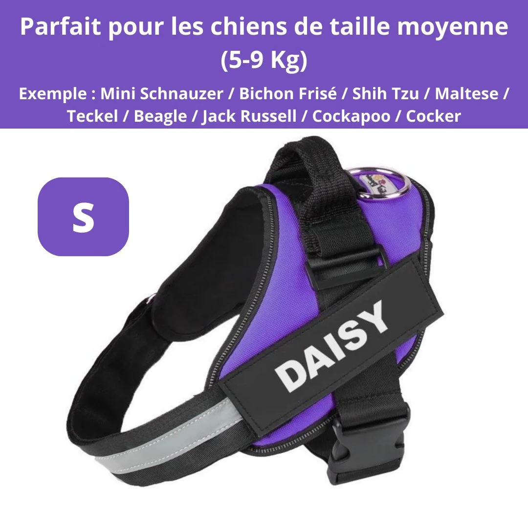 Harnais personnalisable anti-traction pour petit chien - Image 5
