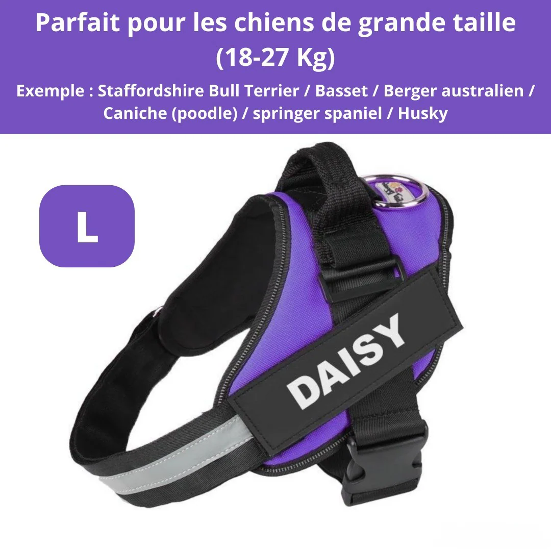 Harnais personnalisable anti-traction pour petit chien - Image 7