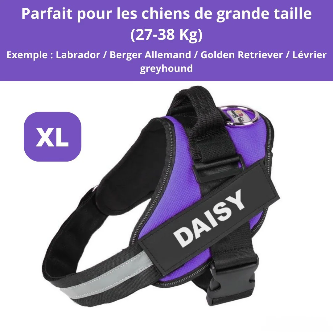 Harnais personnalisable anti-traction pour petit chien - Image 8
