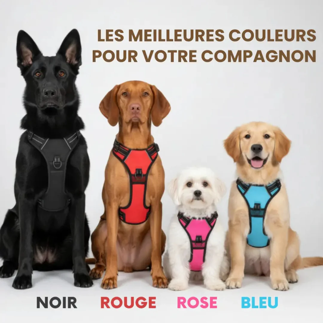 Harnais Antitraction Confort pour Chien - Image 2