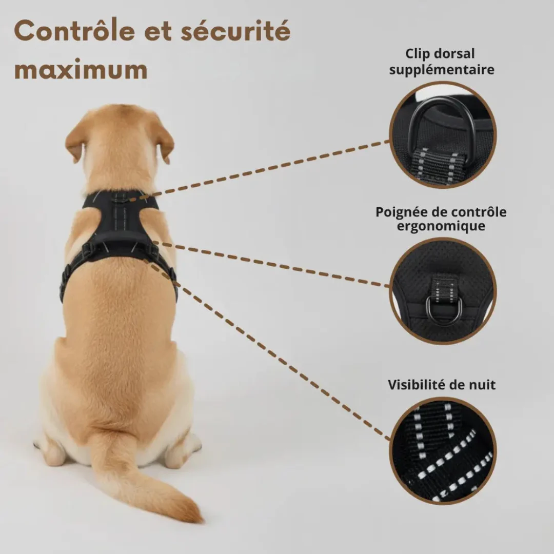 Harnais Antitraction Confort pour Chien - Image 4