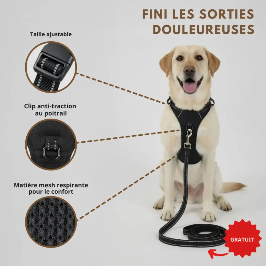 Harnais Antitraction Confort pour Chien - Image 6