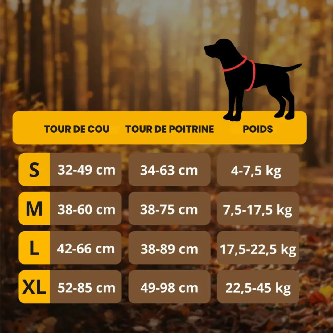 Harnais Antitraction Confort pour Chien - Image 7