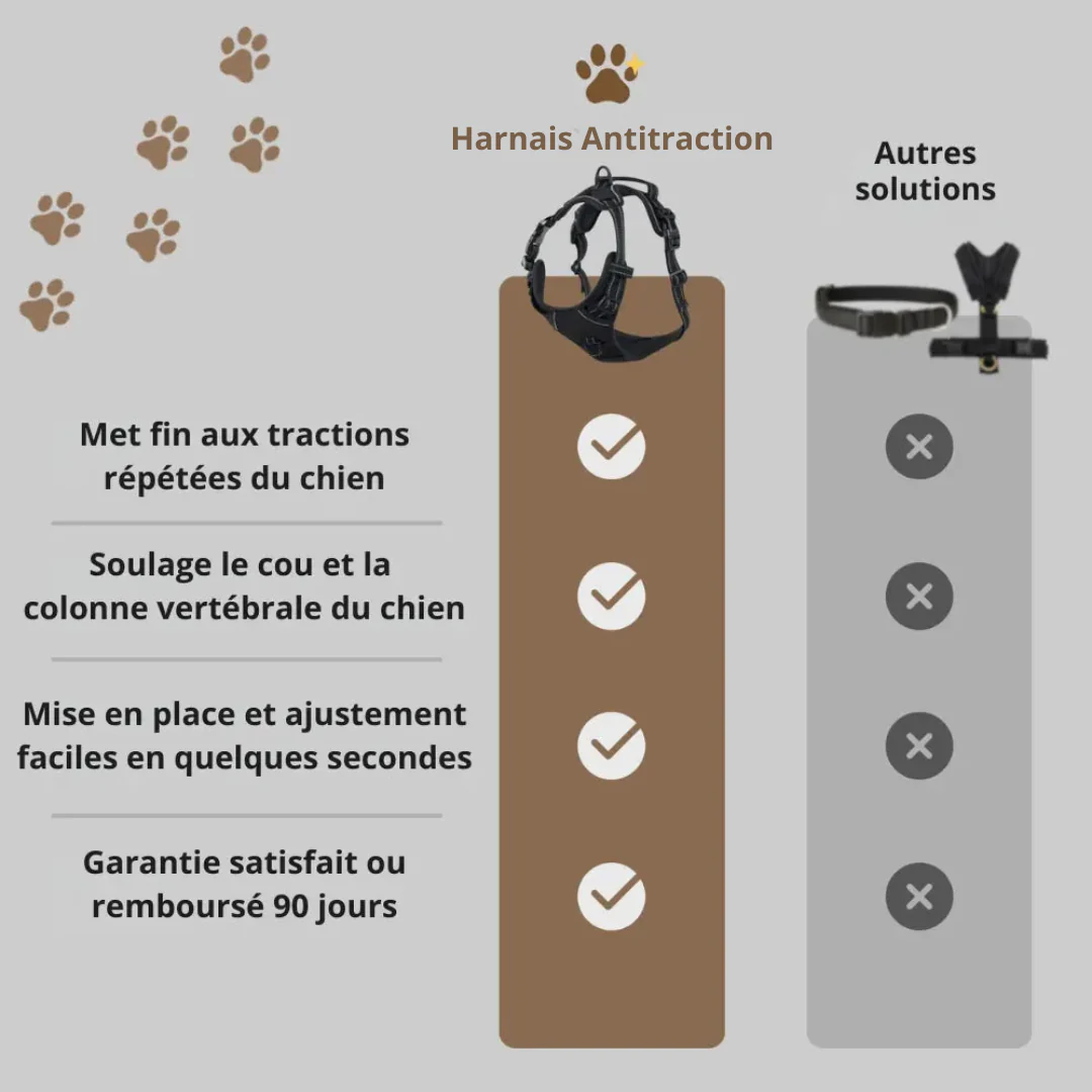 Harnais Antitraction Confort pour Chien - Image 8