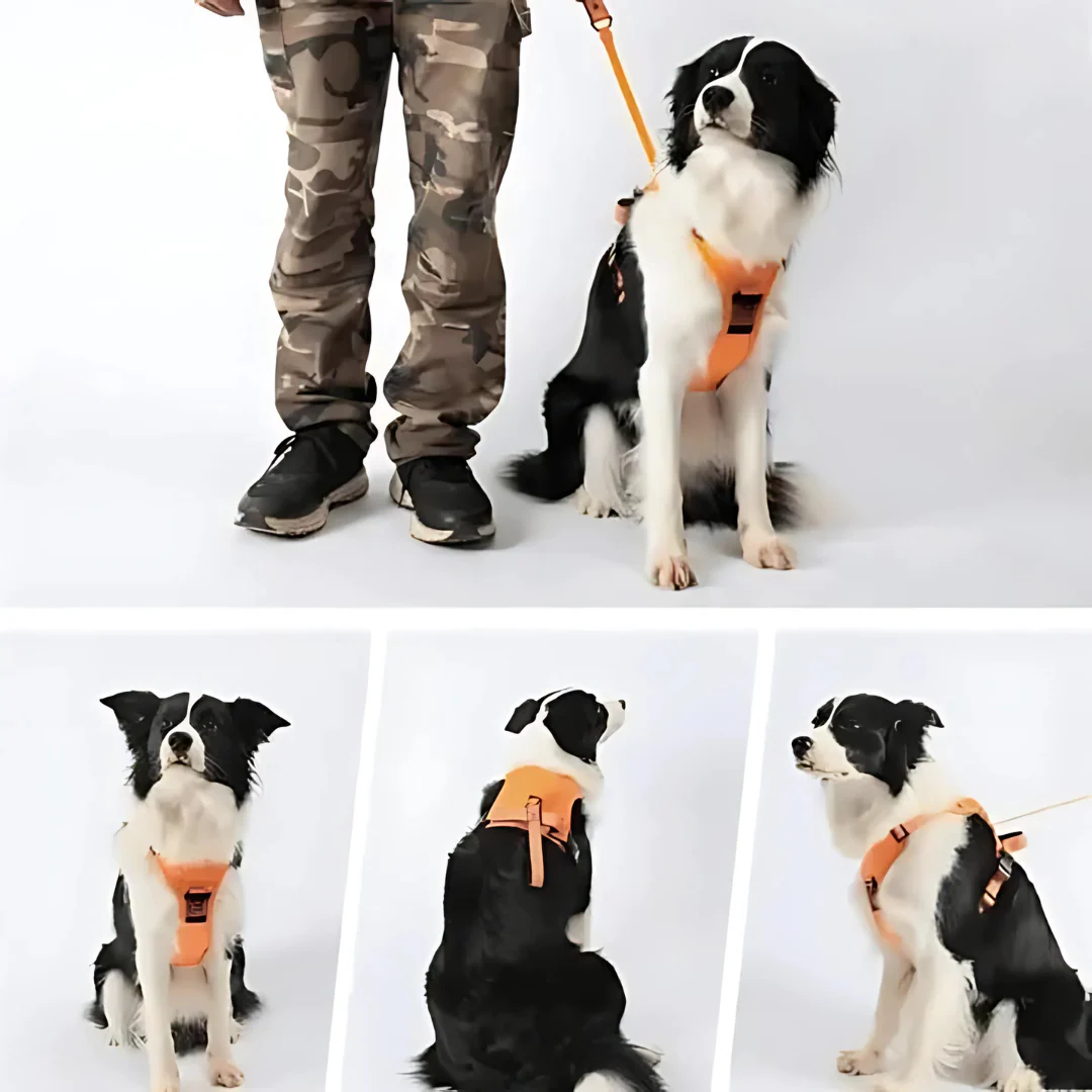 Harnais pour chien 2-en-1 avec attache frontale - Image 10