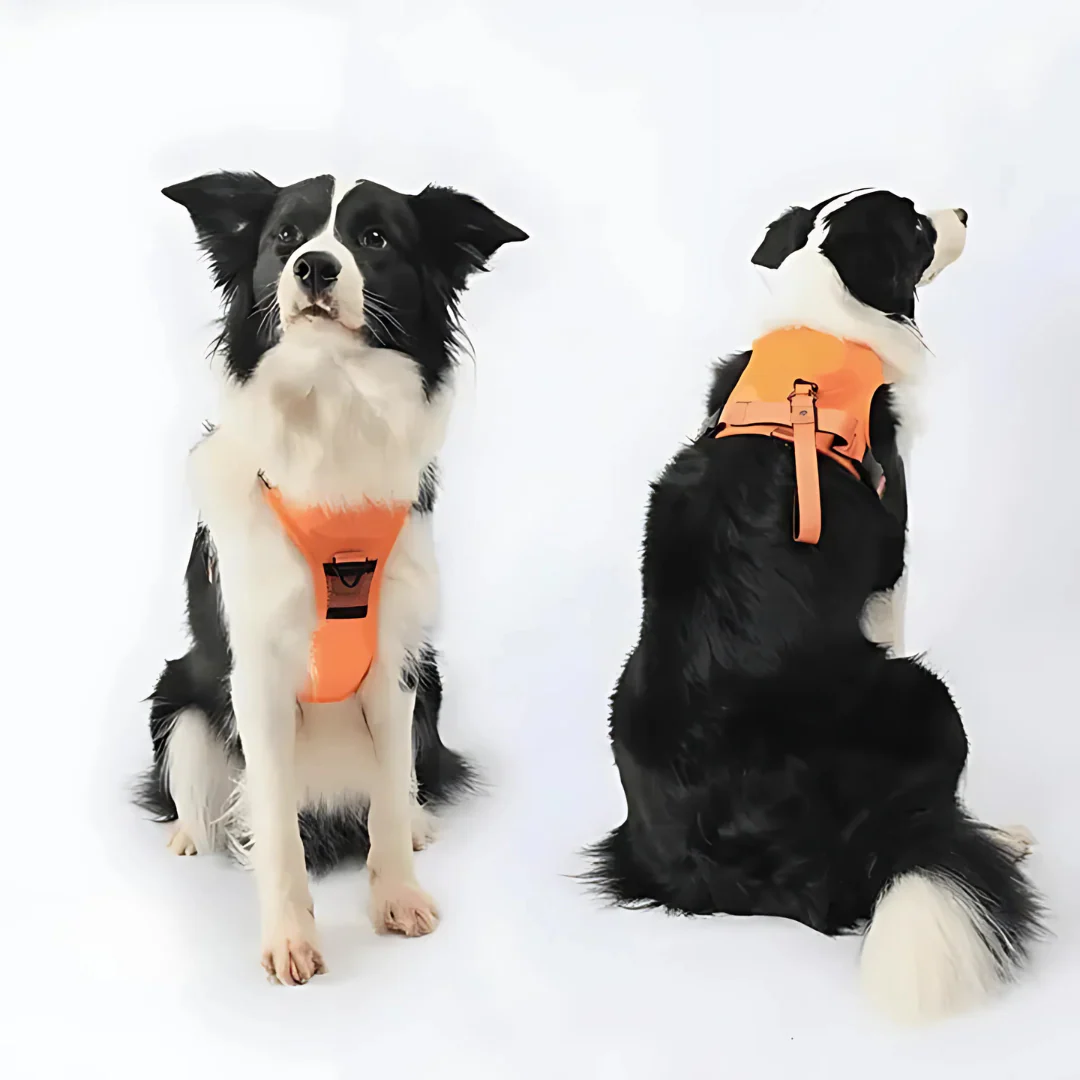 Harnais pour chien 2-en-1 avec attache frontale - Image 7