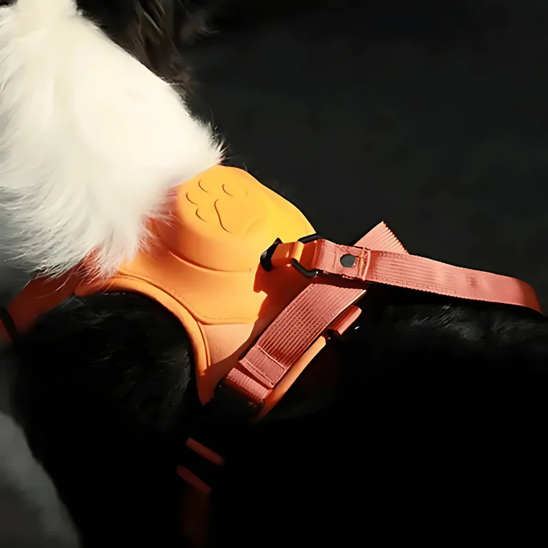 Harnais pour chien 2-en-1 avec attache frontale - Image 8