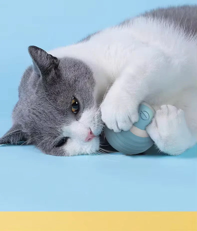 Balle de jeu interactive pour chat - Image 2