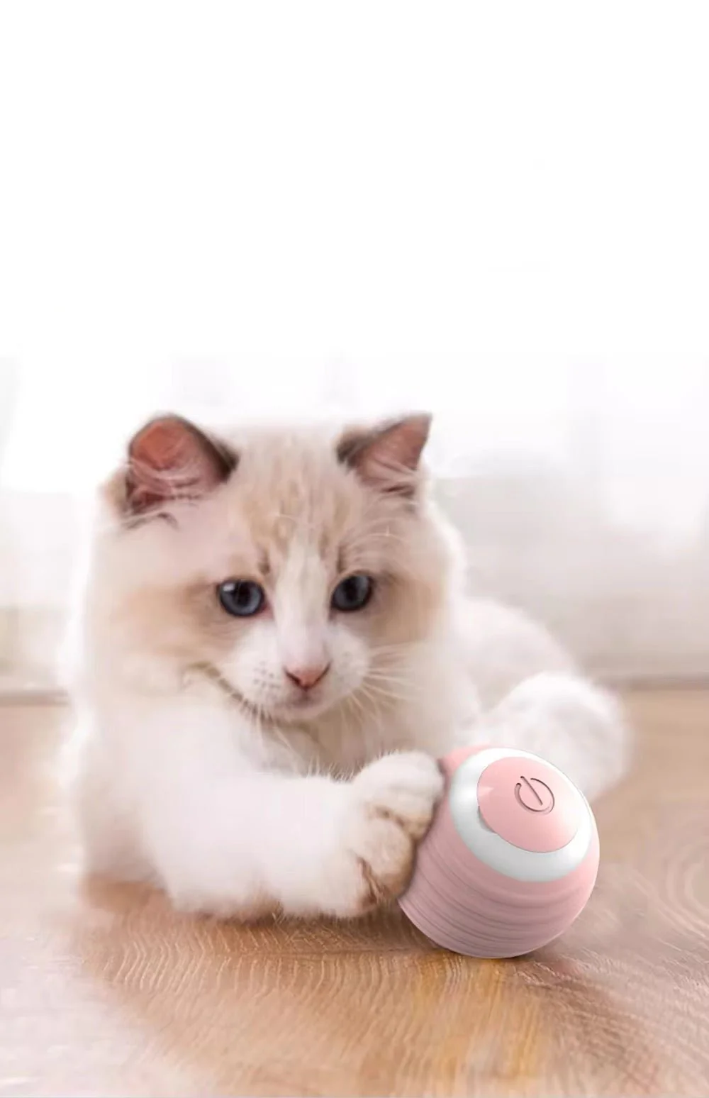 Balle de jeu interactive pour chat - Image 3