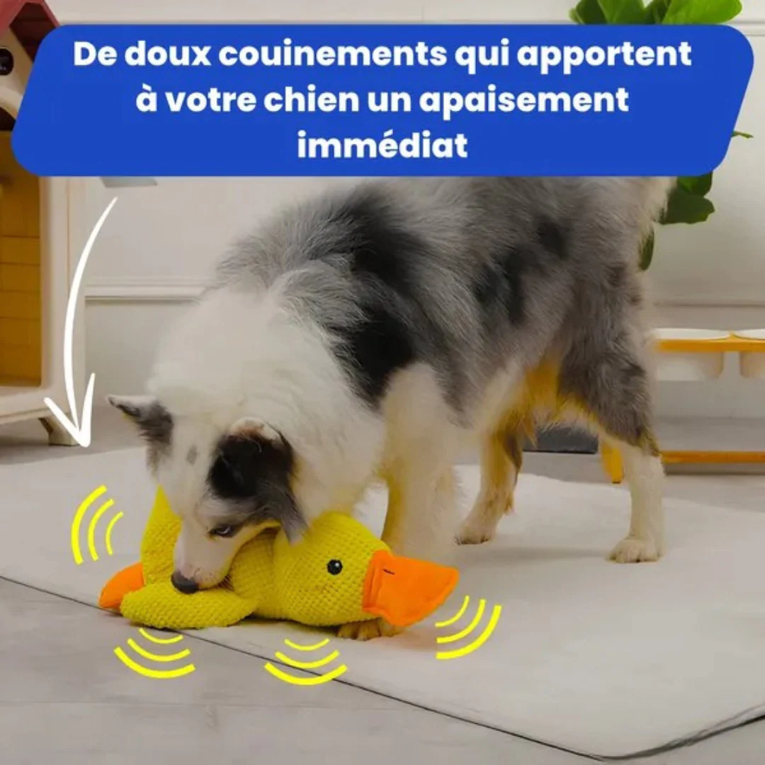 Jouet en peluche Canard pour Chien - Image 4